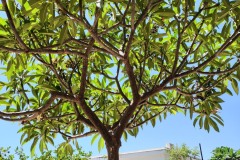 IMG20230716115304